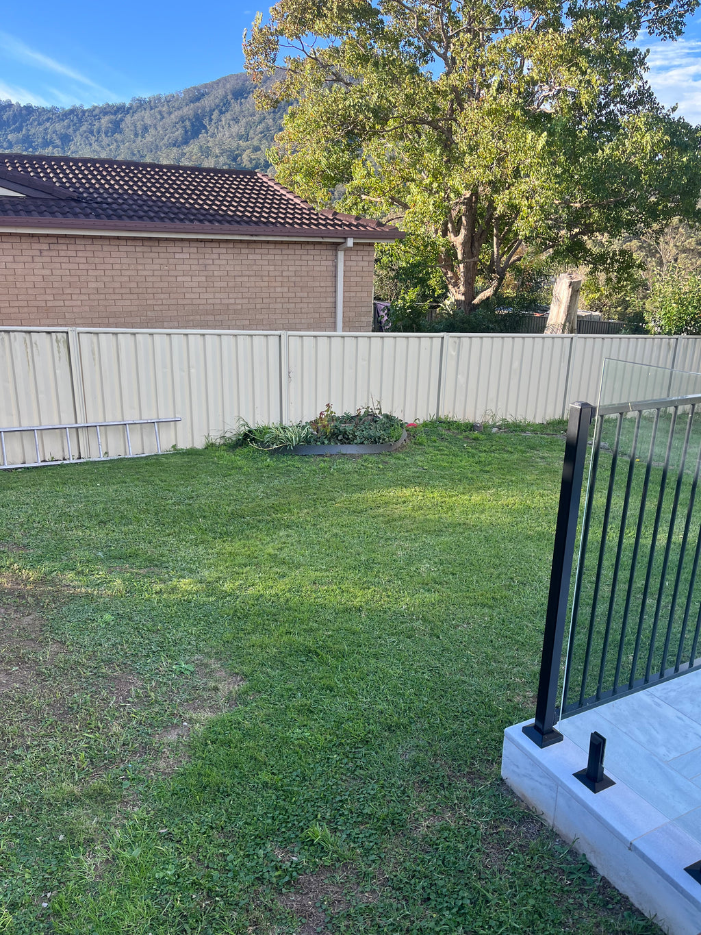 Small Tree Removal